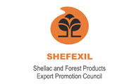 shefe